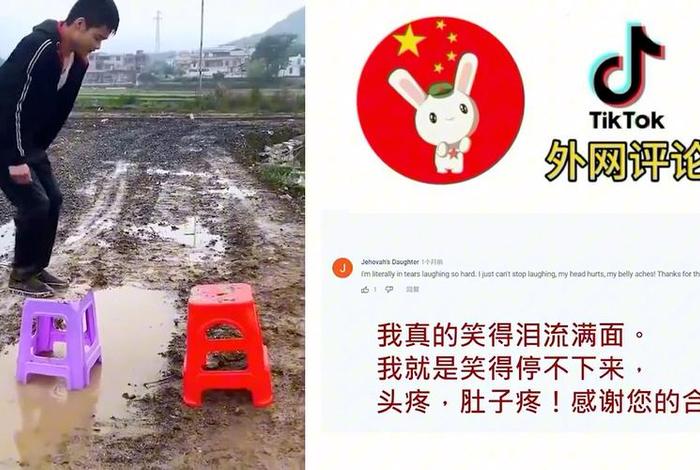 中国历史外国网友评论、外国网友评论中国历史让人着迷