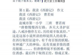 西行记讲述的故事（西行记讲述的故事是什么）