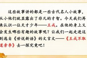 中国历史人物有王戎吗视频、王戎还有什么故事？