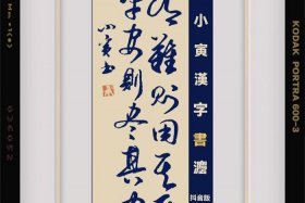 韩非之死在哪一部，韩非死在什么地方