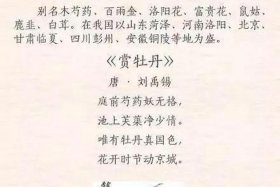 中国十大历史名花有哪些 写出中国十大名花