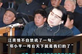 起伏跌宕的历史人物（起伏跌宕的历史人物故事）