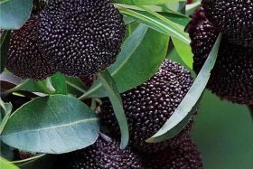 浙江慈溪名人简介，浙江慈溪名人简介50字