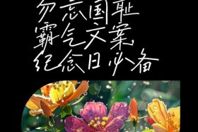 中国历史文案哪里找、历史文案短句