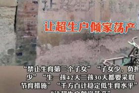 计划生育的历史责任、计划生育的历史责任谁来负