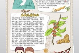 中国历史人物扁鹊图片 历史人物故事扁鹊100字