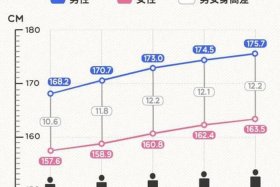 历史高人身高排行榜 - 历史人物身高对比