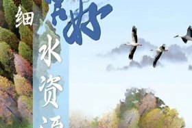 水在中国的文化和历史；水在中国文化中的象征