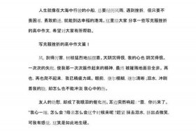 中国历史挫折素材（中国挫折的事例）