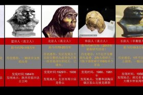 美国报道称赞中国历史人物的句子（美国人赞美中国）