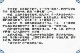历史王戎人物故事（历史人王戎的故事）