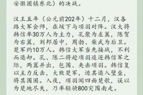 历史人物的作文400字，历史人物的作文400字项羽