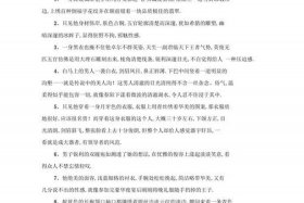 描写历史人物外貌的句子（历史人物外貌描写200字）