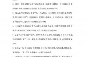 历史人物外貌描写、历史人物外貌描写短语