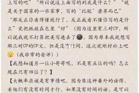 韩国综艺几个国家的人讨论 - 韩国综艺各个国家的人在开会