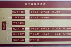 张作霖人物介绍（张作霖人物介绍图片）