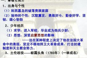 拿破仑历史人物评说；拿破仑的功绩和评价