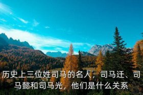 历史上司马姓氏的人最厉害的是谁；姓司马的名将