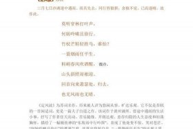 苏轼简介英文翻译 苏轼简介英文翻译版