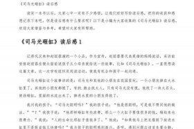 中国历史人物故事简短50字；历史人物故事简短50字司马光砸缸