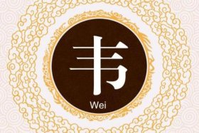 姓韦的历史名人有哪些？（姓韦的历史人物有哪些）