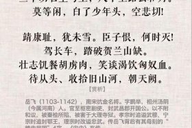 岳飞中国历史（岳飞的历史记录）