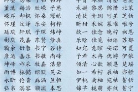 冷门又惊艳的历史人物事迹，冷门历史典故