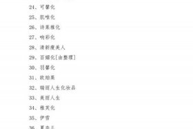 中国禁止使用的名字 - 中国禁止的国际名牌