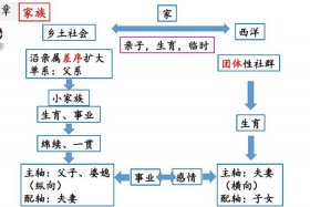 乡土中国的人物关系、乡土中国人物关系思维导图