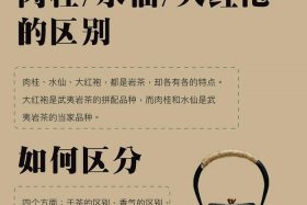 茶道的典故 茶道的寓意是什么