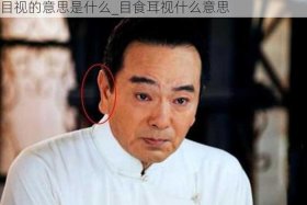 中国智慧的代表人物，中国智慧的具体事例