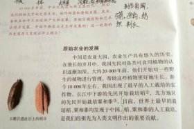 中国历史故事加批注 - 中国历史故事内容摘要