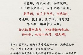 岳飞最经典的一段 岳飞的经典台词