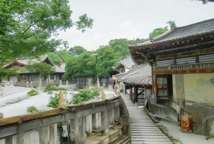 北魏有趣的历史故事 北魏有趣的历史故事50字