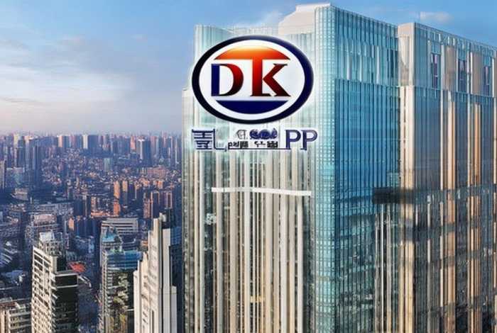 dk公司中国历史；dk集团公司