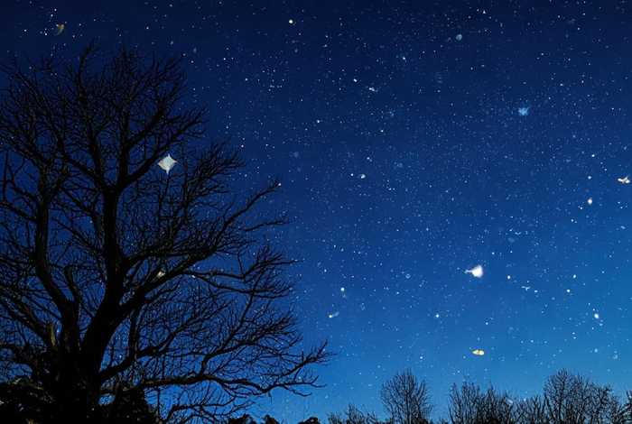 繁星故诗、繁星故诗有多少 繁星故诗、繁星故诗有多少