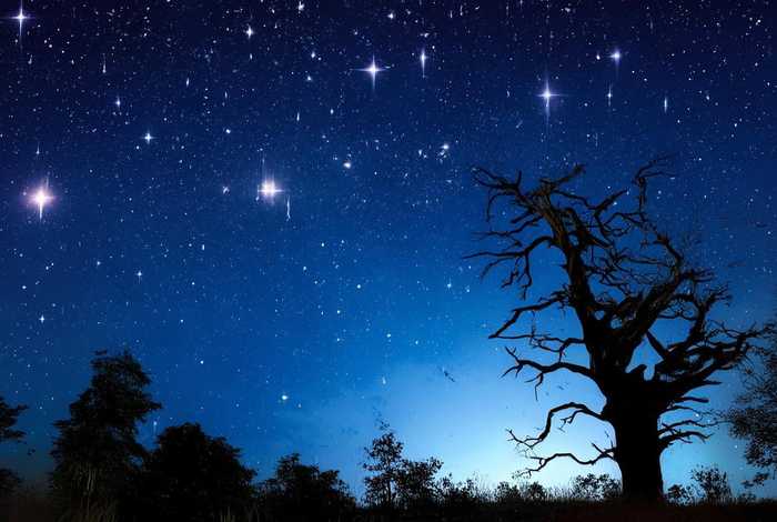 繁星故诗、繁星故诗有多少 繁星故诗、繁星故诗有多少