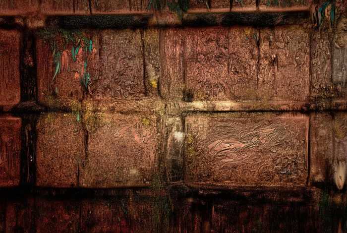 古代关于鱼的故事，古代关于鱼的故事和传说