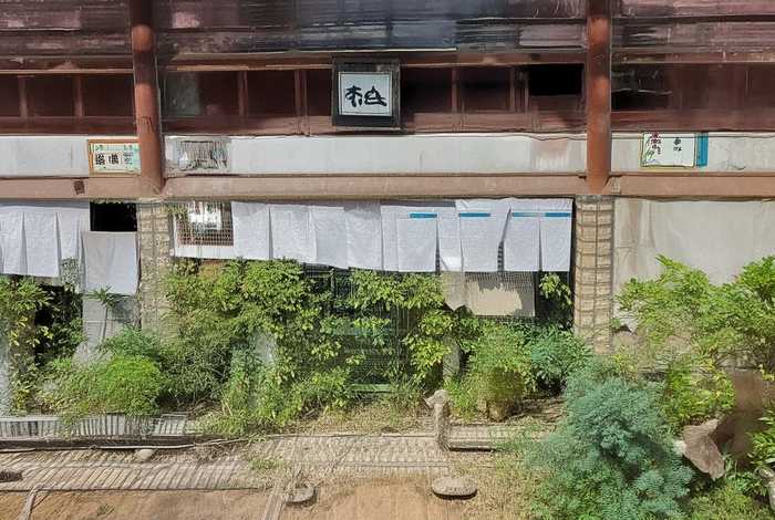 共和行政的故事50字；共和行政的故事50字概括