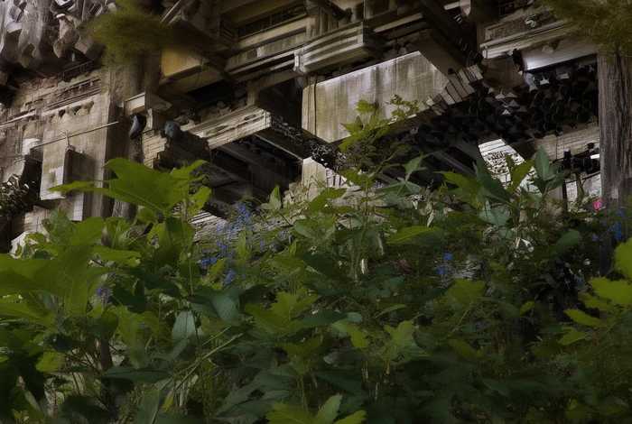 各有所长的寓言故事 - 各有所长的寓言故事生活中有哪些 各有所长的寓言故事 - 各有所长的寓言故事生活中有哪些