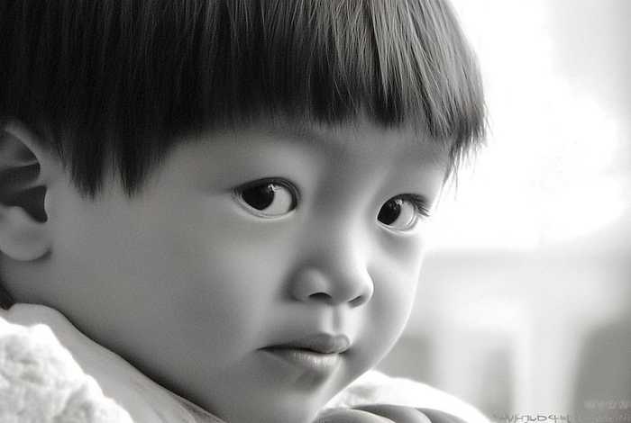 历史故事曹冲称象20字左右怎么写 历史故事曹冲称象20字左右怎么写的
