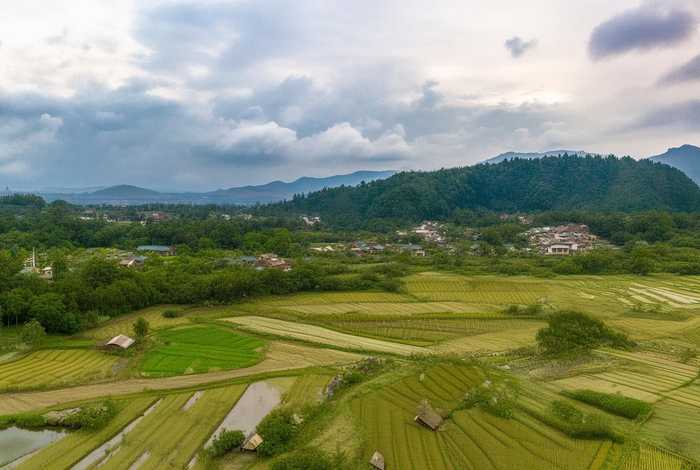 苗族历史、苗族历史背景