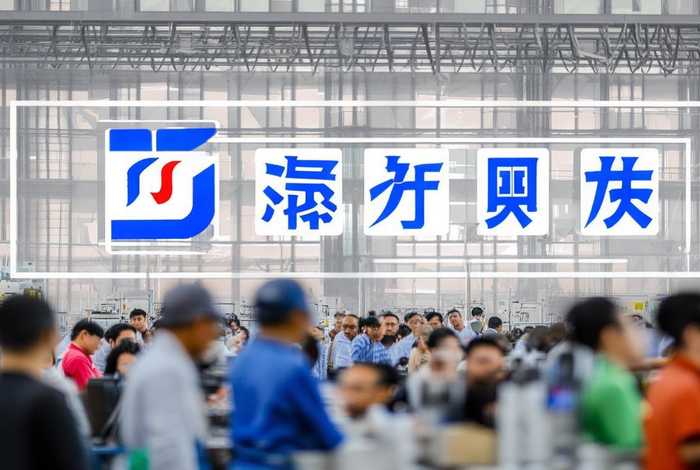 维美德中国公司 - 维美德中国公司是国企吗 维美德中国公司 - 维美德中国公司是国企吗