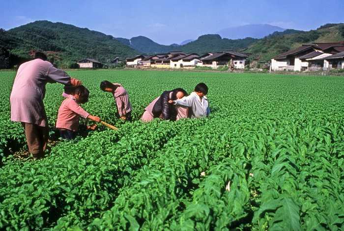 中国的扶贫故事 中国的扶贫故事为人类扶贫事业提供了经验的英文