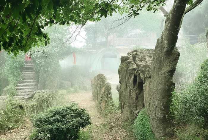 诗史杜甫简介 诗史杜甫简介50字