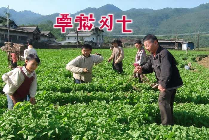 中国的扶贫故事 中国的扶贫故事为人类扶贫事业提供了经验的英文