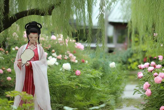 中国历史李清照故事概括（中国历史李清照故事概括50字）