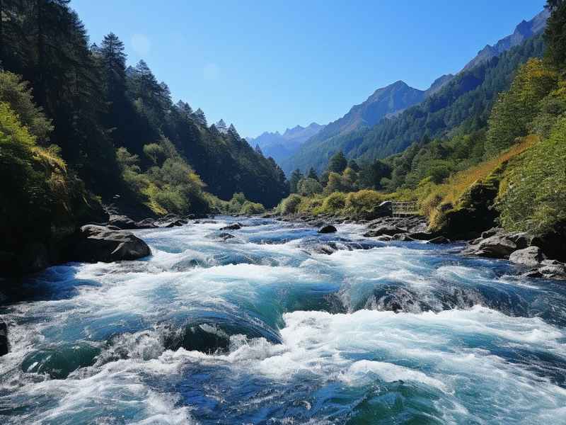引水东流什么意思（引水东流是什么意思）