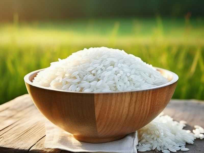 介绍一下米饭的历史和文化、米饭的来历和有趣的典故