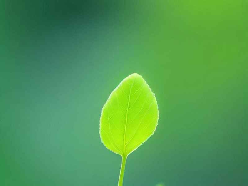 林肯的历史事迹;林肯的历史事迹简介 林肯的历史事迹;林肯的历史事迹简介